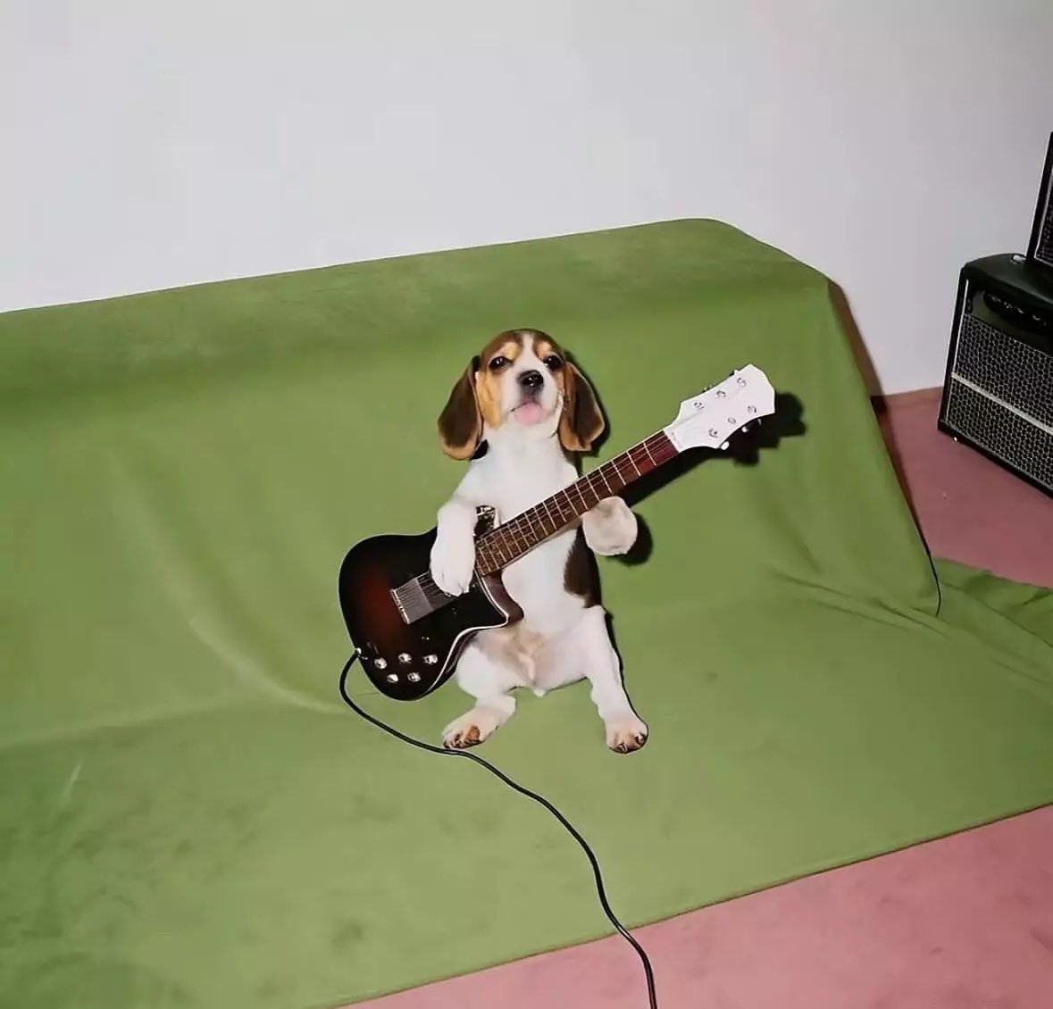 se eu fosse amiga da ana caetano mandaria essa foto pra ela
