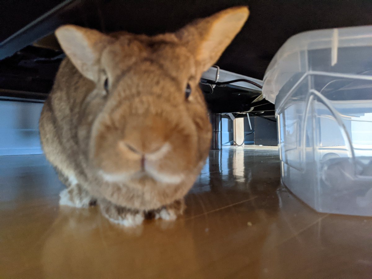 rocky.. 🍁 tweet media