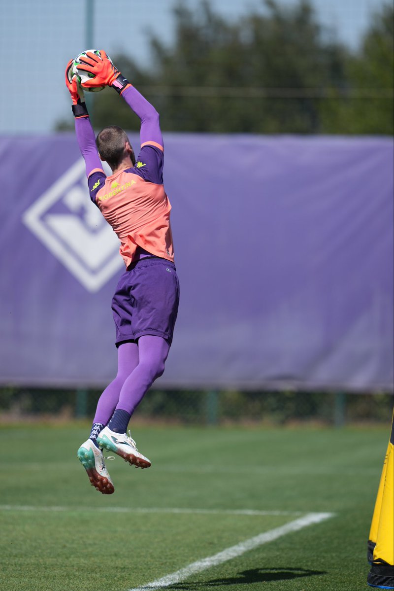 David de Gea tweet media