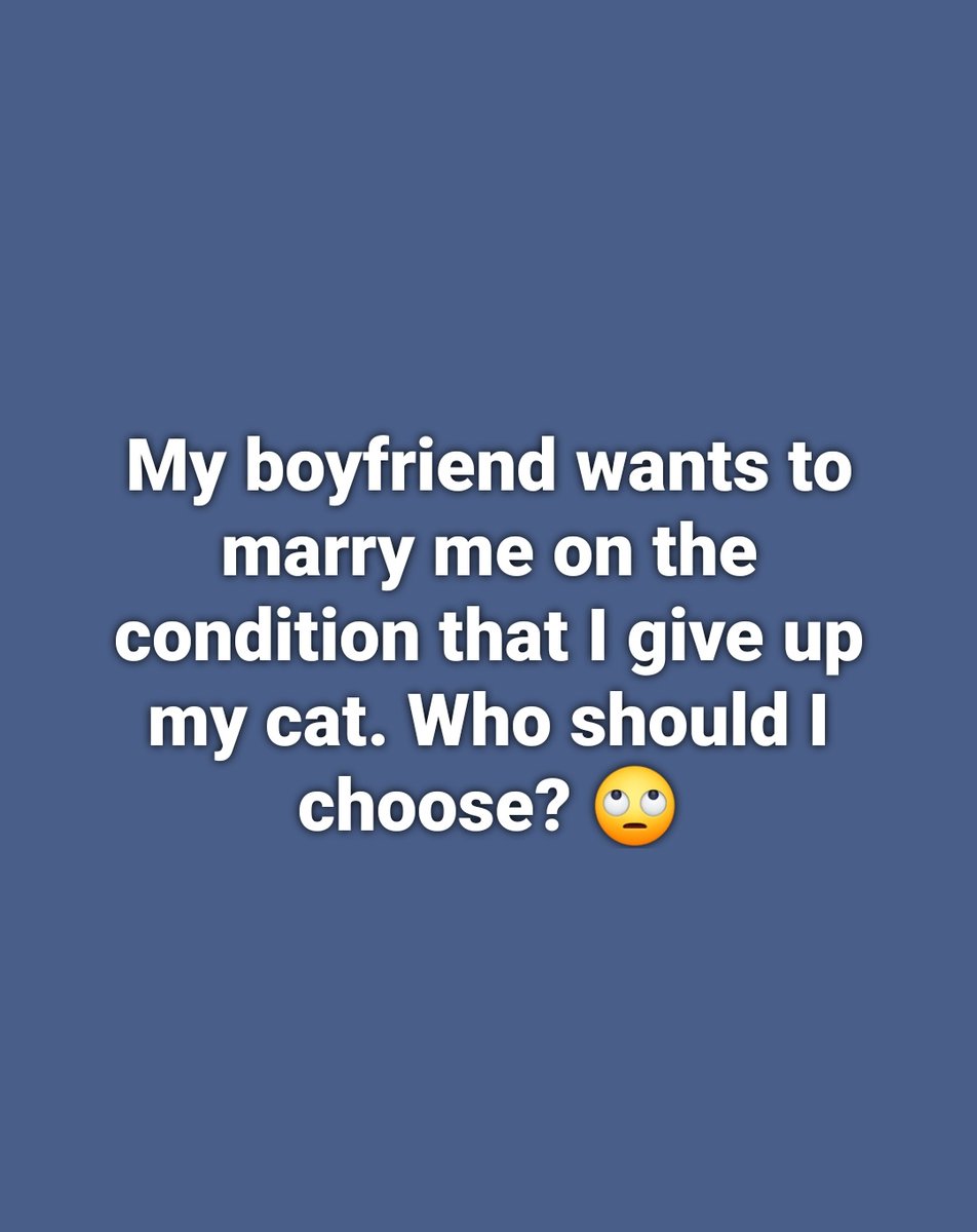 Elizabeth❣️ tweet media