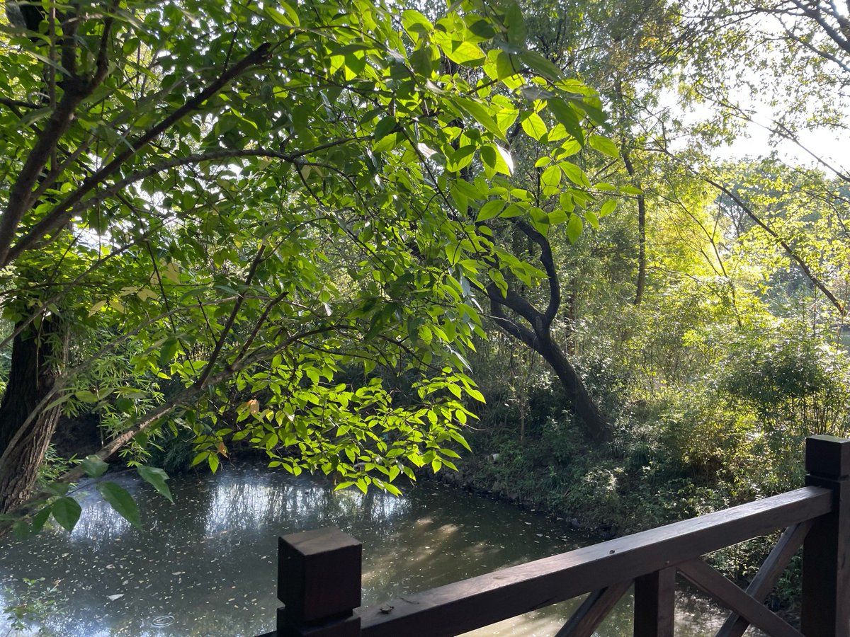 stuart sharack tweet media