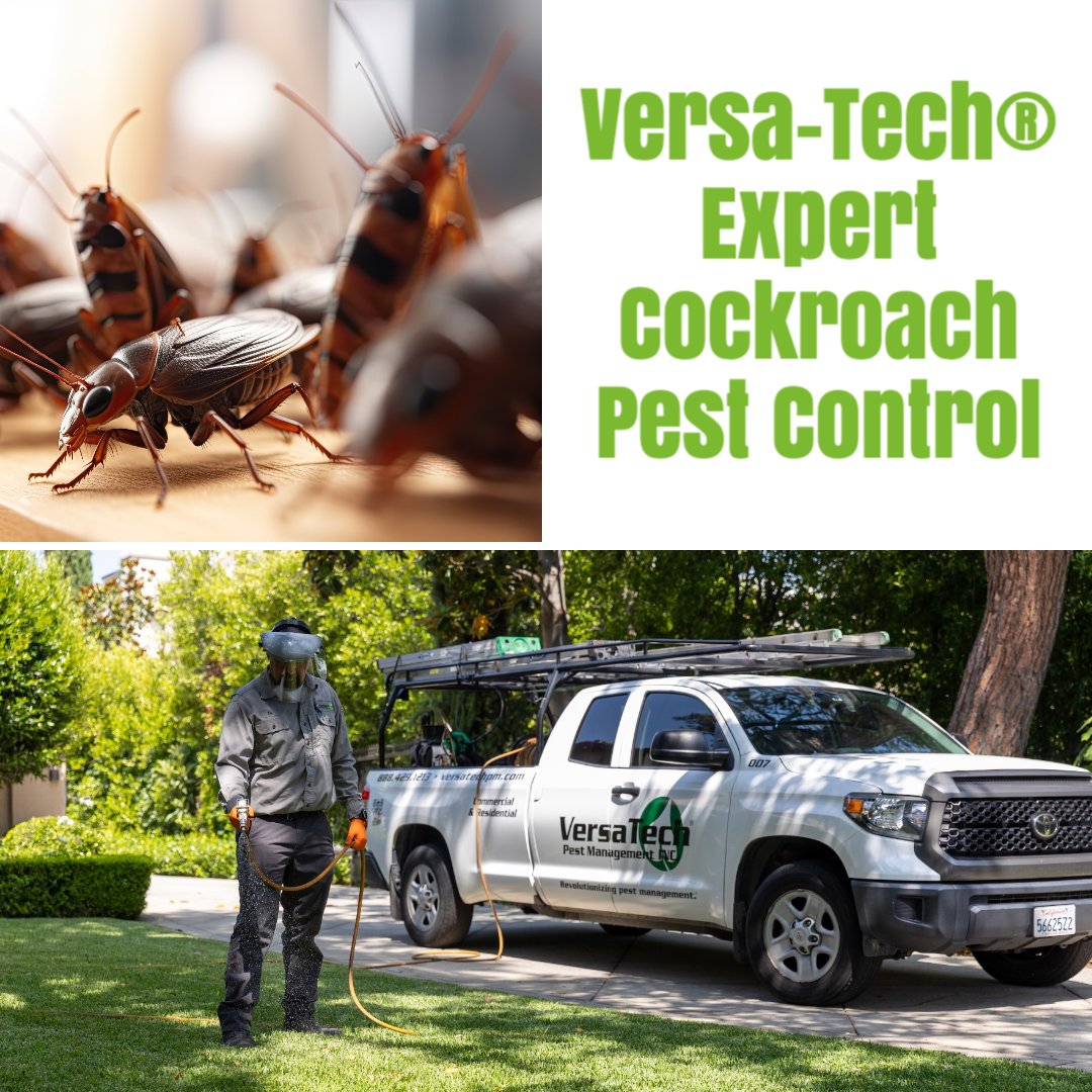 VersaTechPM's tweet image. Are you looking for a trusted #cockroachcontrol company in San Dimas or surrounding SGV? Versa-Tech® specializes in full scale coackroach elimination, prevention and clean up. Call us at  (888) 429-1213. #SanGabrielValleyPestControl #cockroaches #cockroachespestcontrol #roaches