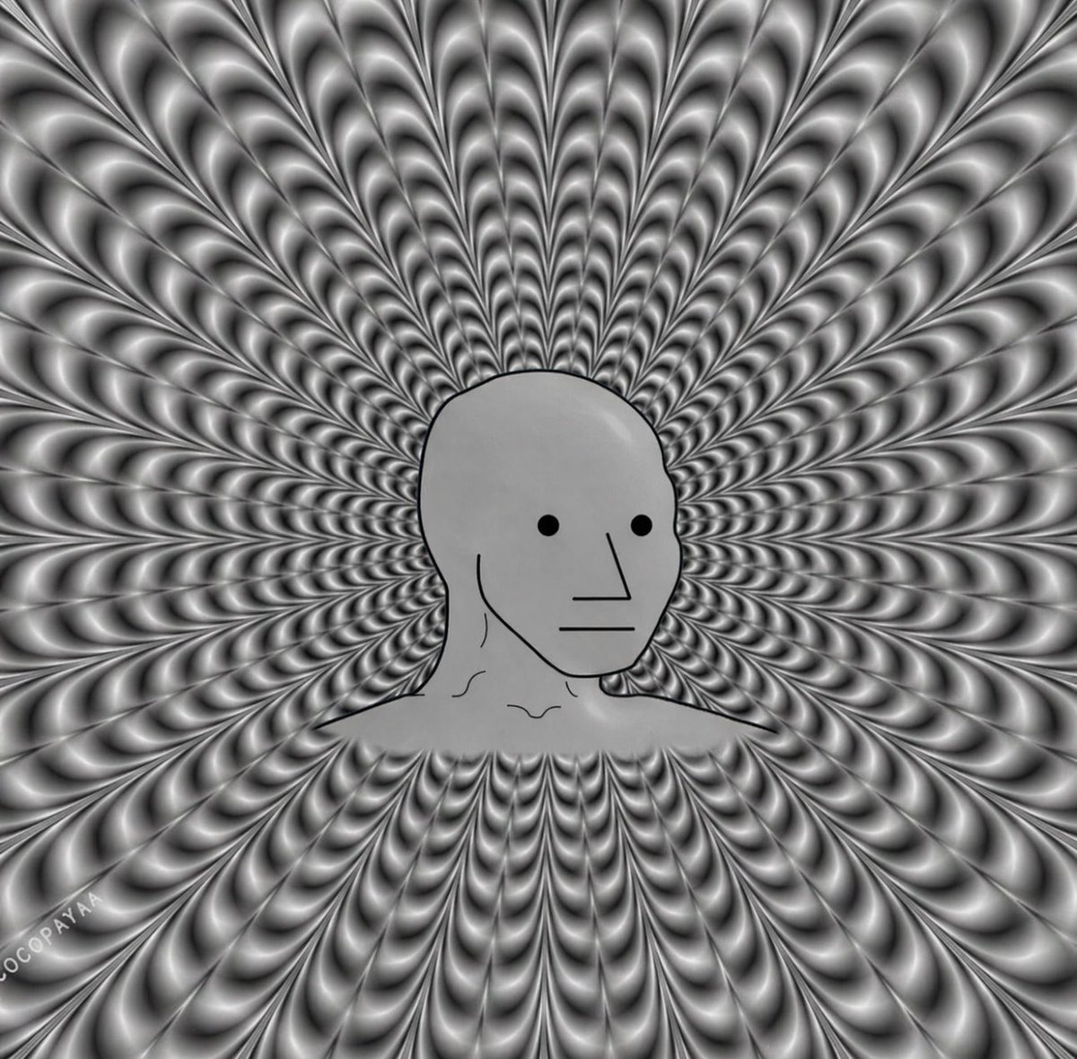 0xgm.eth •⎳• tweet media