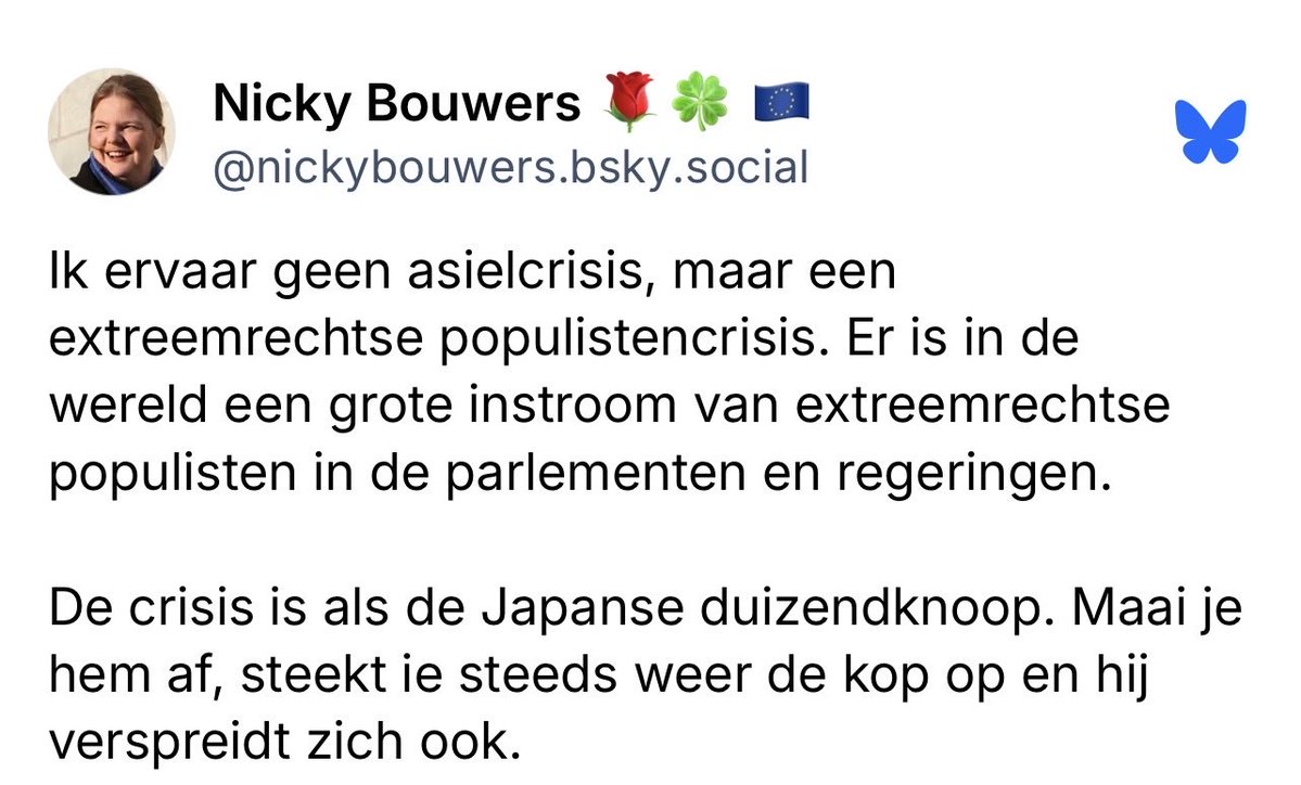 S.B. 🌱⭕️🇳🇱🏳️‍🌈🇺🇦🇪🇺 tweet media