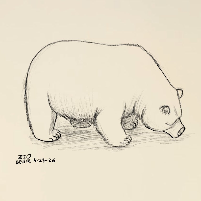 Zio the Bear tweet media