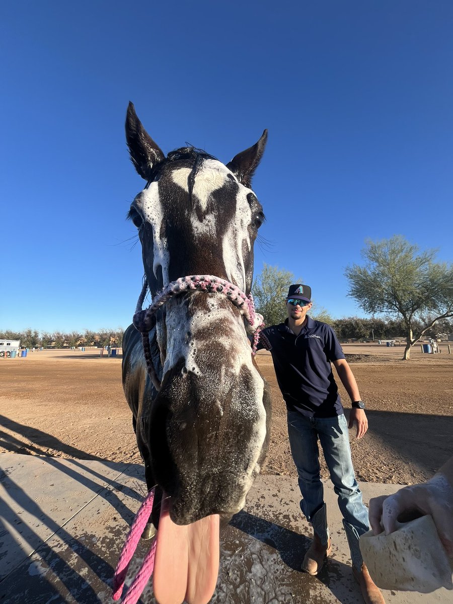U of A Race Track Industry Program tweet media