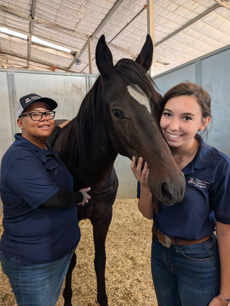 U of A Race Track Industry Program tweet media