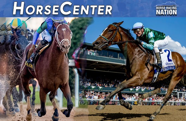 Let's not forget the fillies 🏇🏇Taking a look at top contenders for both the Kentucky Oaks and the Kentucky Derby on HorseCenter! horseracingnation.com/blogs/HorseCen…