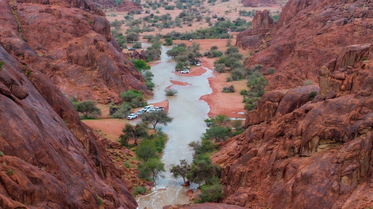 أمانة منطقة حائل tweet media