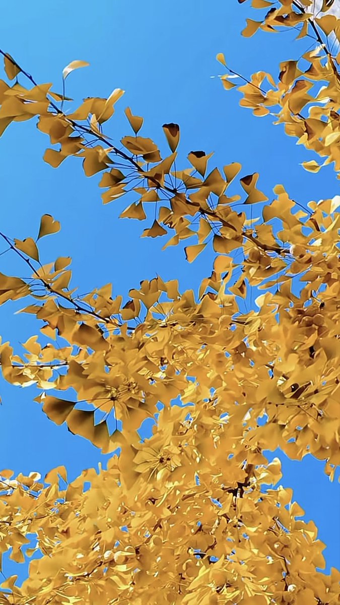 I LOVE ENGLISH tweet media