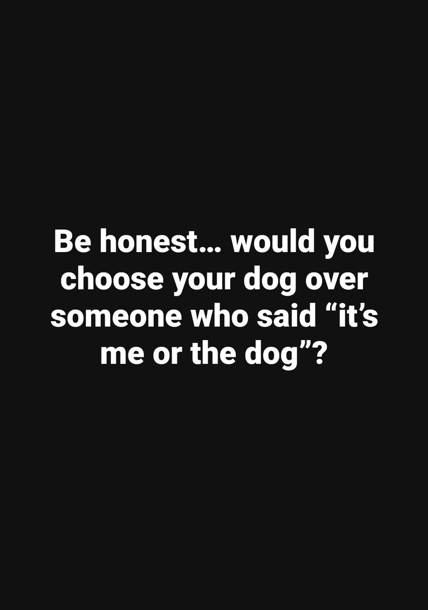 Elizabeth❣️ tweet media