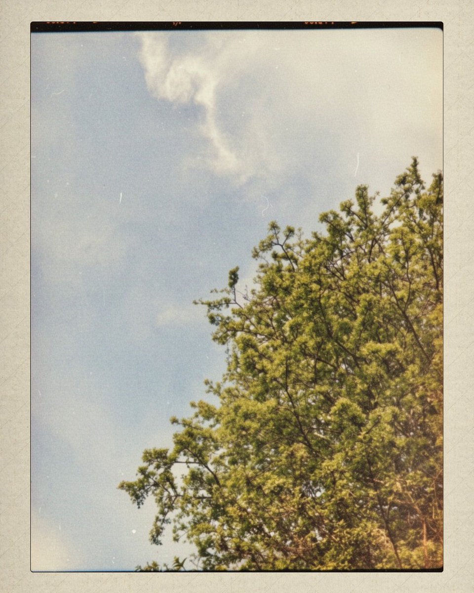 Kylie Minogue tweet media