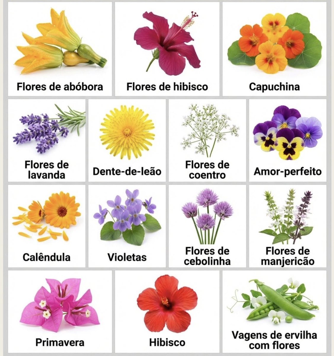 Eliane Dalla Valle tweet media