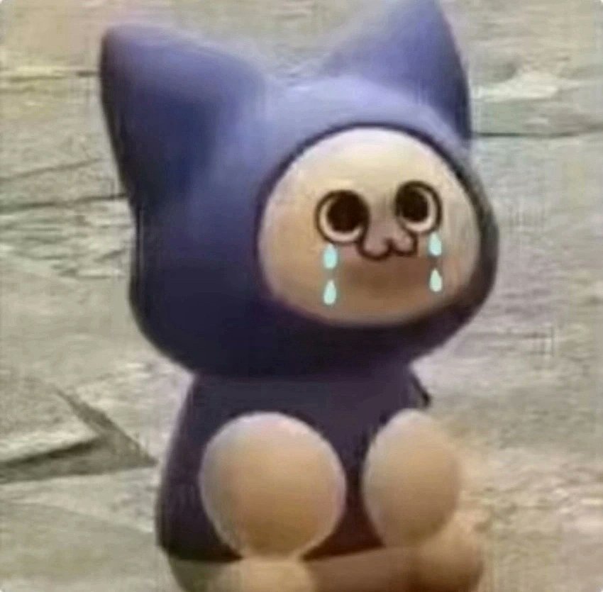 喵喵喵. tweet media