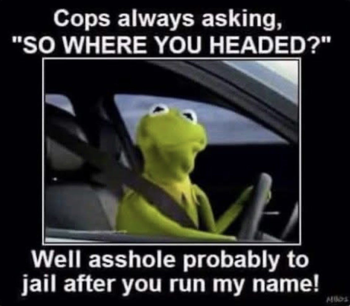 CandyCats357 tweet media