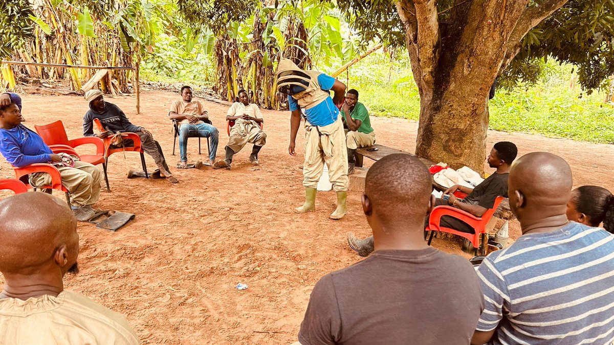 BfDGhana's tweet photo. Between 13th and 15th April 2026, a team of fifteen (15) participants, comprising eleven (11) Bee Champions (BCs) and four (4) BfDG staff, camped at Bondaso for a three-day intensive training on honey harvesting. https://t.co/InUeBRSeaY
