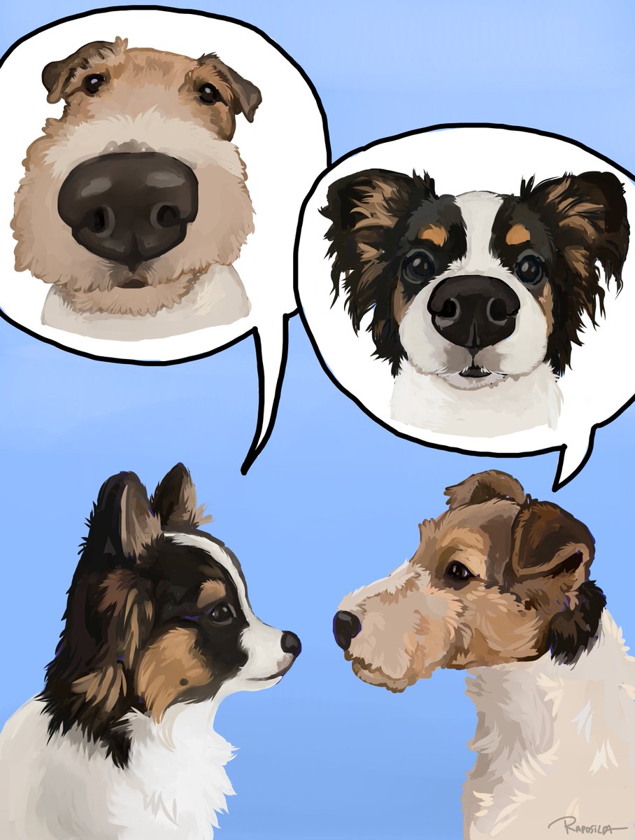 doggo revolution tweet media