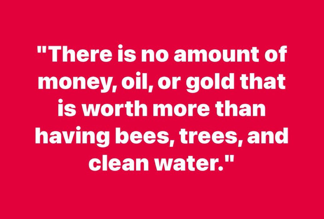 Michael F Ozaki MD tweet media