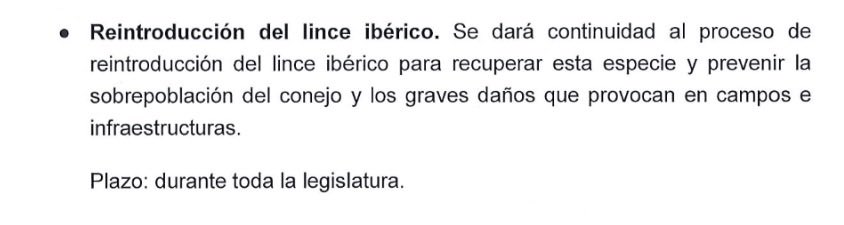 Spainball tweet media