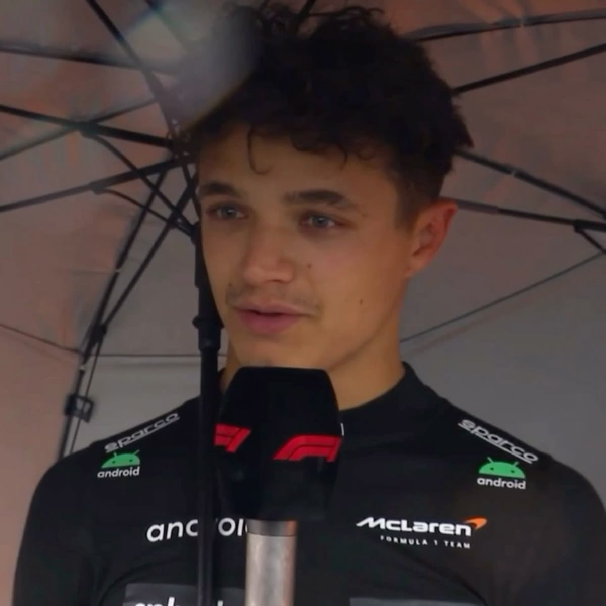 adam ⭒ tweet media