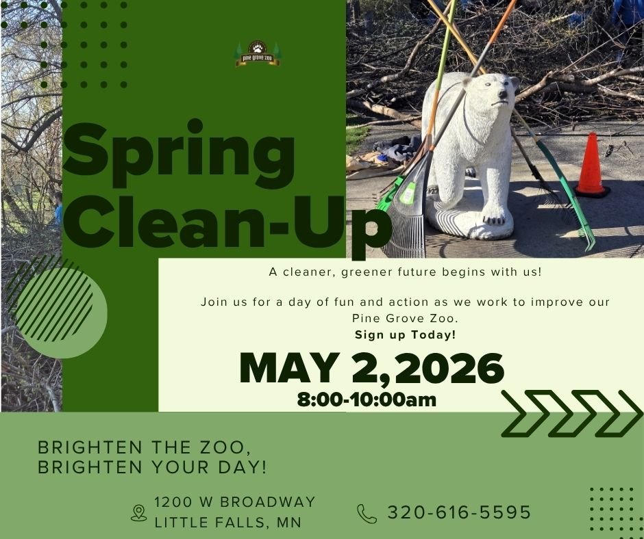 cdcmorrisonmn's tweet image. Take a look at the fun waiting for you at the #PineGroveZoo in May!📆 Make plans to go to the zoo in #LittleFalls! 🐾

📍 1200 Bdwy W, #LittleFallsMN 56345
🌐 pinegrovezoo.com

#SpringtimeattheZoo #BecomeaZooMember #Membership #Volunteer #WorkattheZoo #MorrisonCounty