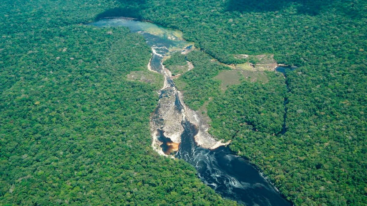 Mongabay Latam tweet media