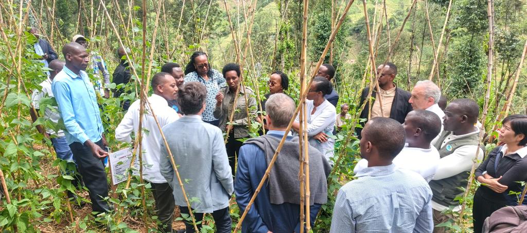 RutsiroDistrict's tweet image. They reviewed progress on the “Imirire Iboneye” program, which promotes sustainable food systems to combat malnutrition across five districts in  @RwandaWest. The visit featured a field tour to see activities firsthand and hear from beneficiaries about the programme’s impact.