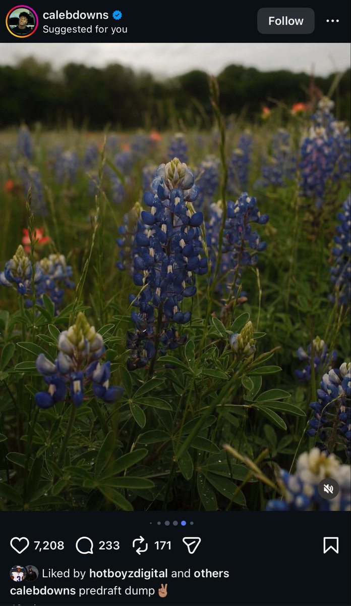 Attack! on Cowboys ✭ tweet media