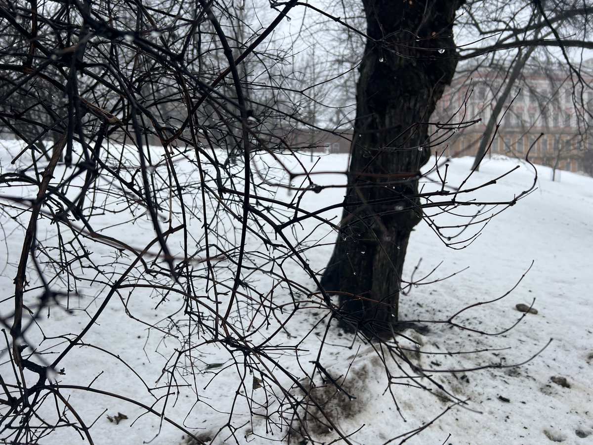 Olivier Szczepaniak tweet media