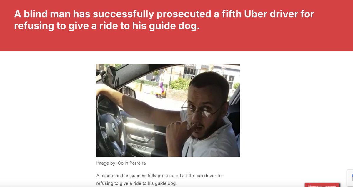 Restore For Dogs tweet media