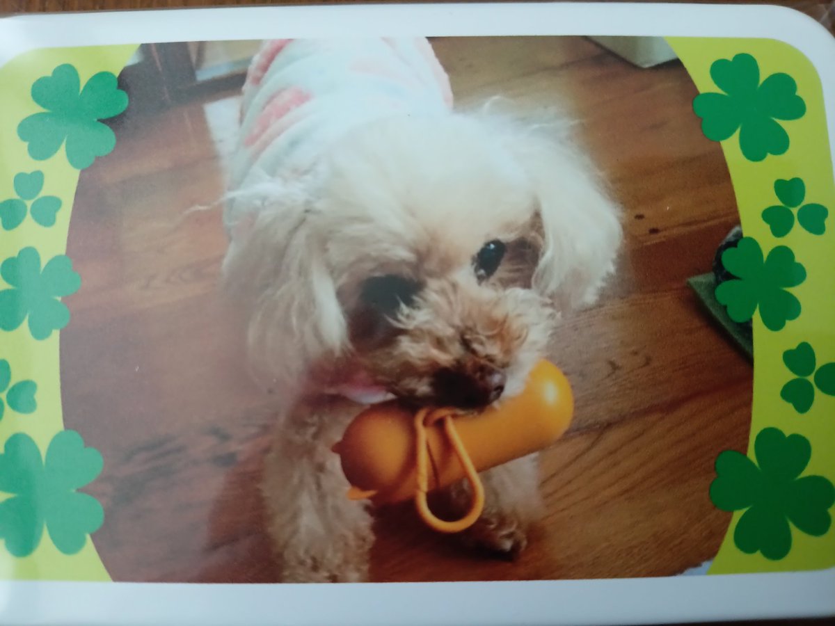 おばちゃん tweet media