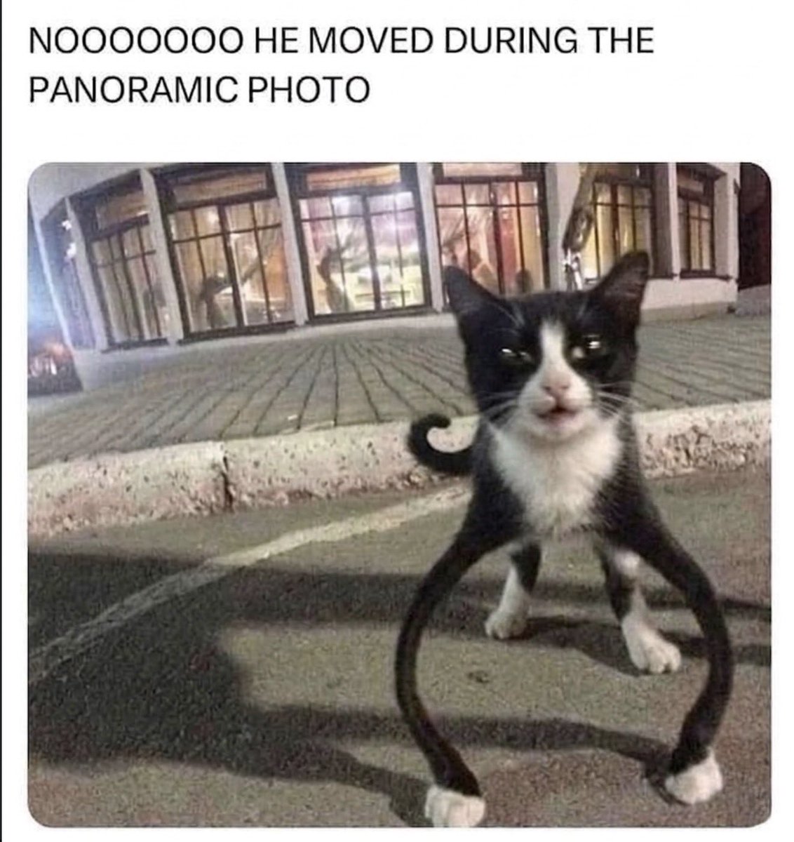 Antidepressant Content tweet media