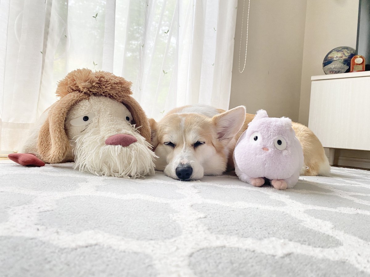 ばななな tweet media