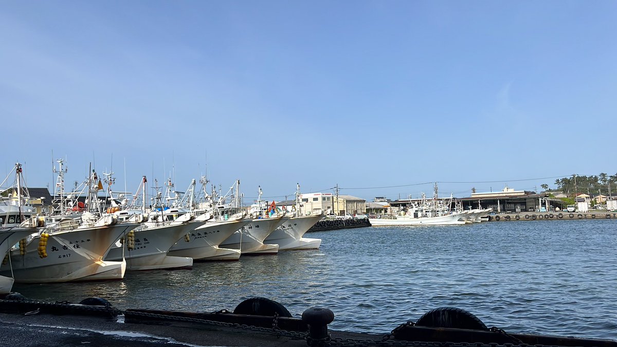 石川県のお魚 tweet media