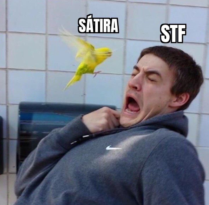 lygia maria tweet media