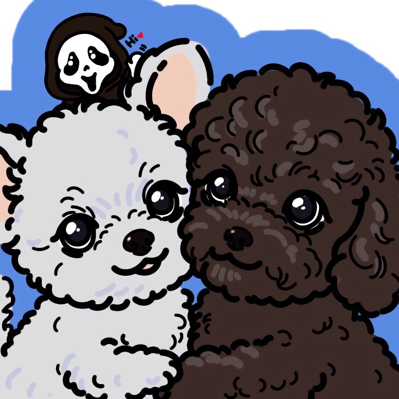 ねこだんちょ@TTV tweet media