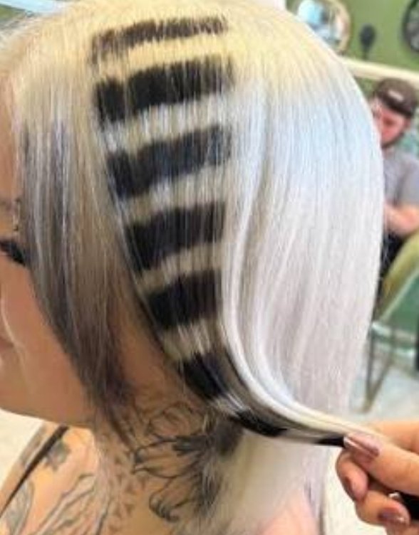 xX Spine Xx tweet media