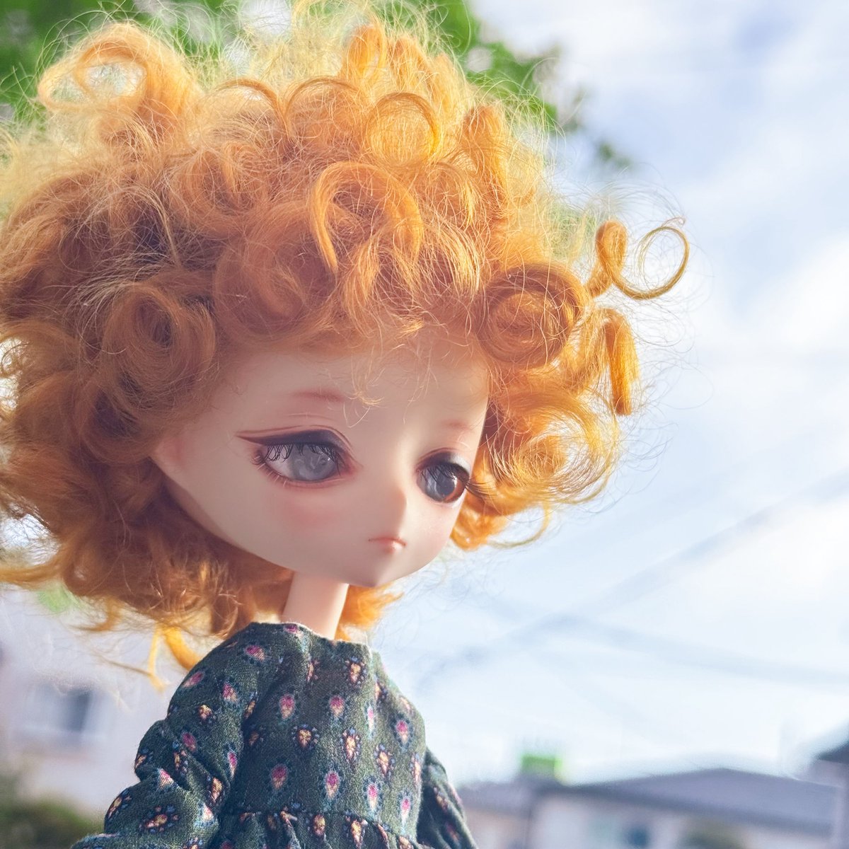 おはようございます🌞