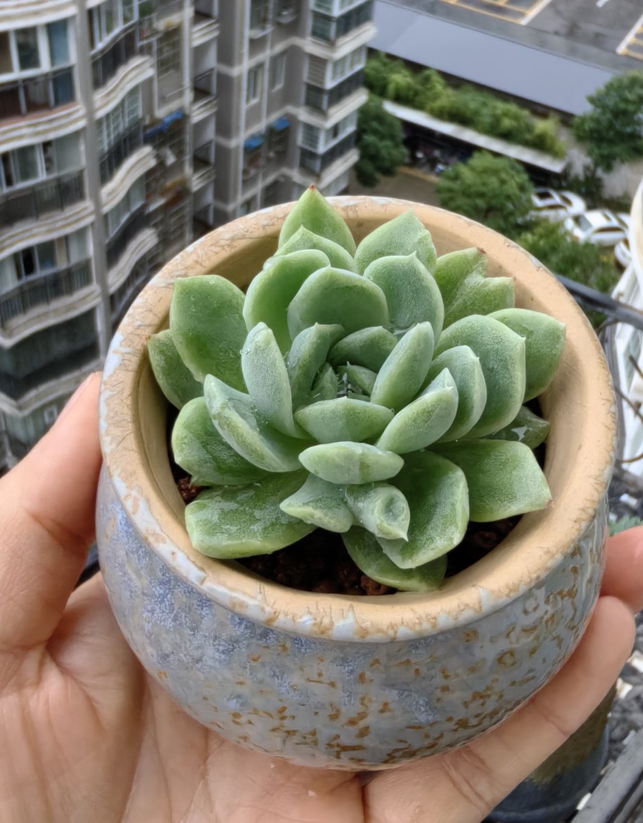 ashfaq abbasi tweet media