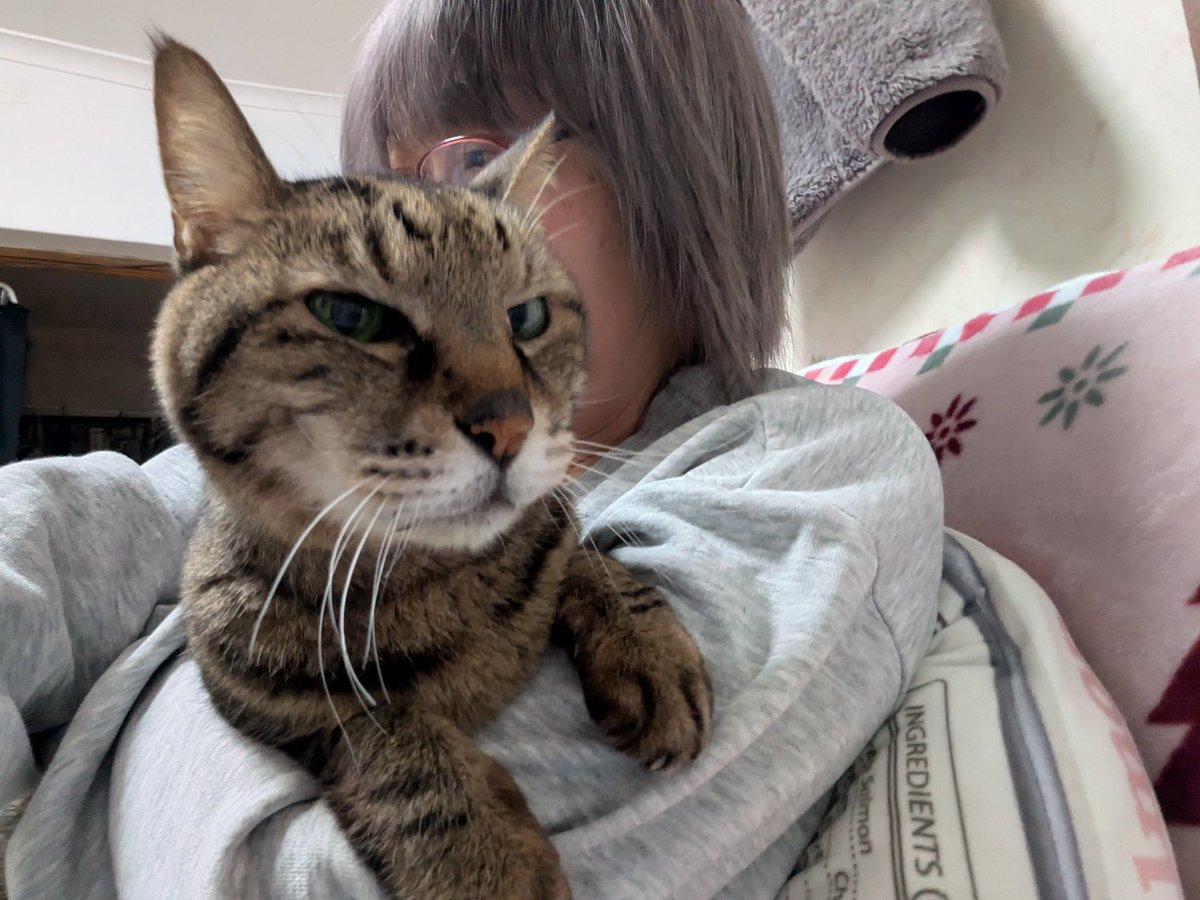 gin_sayu's tweet photo. お久しぶり通り越してるね
（笑）😆
皆元気かな？
私と空助は、スローライフ
してます。最近の空助は
私がいる間は、抱っこしないとずーっと鳴いてて大変🥰 https://t.co/XaC4f2vyOy