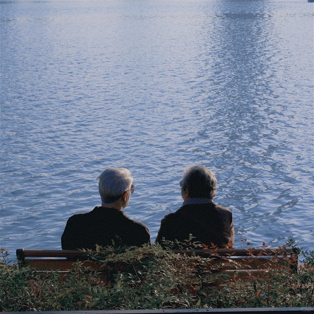 Mass Media Studios tweet media