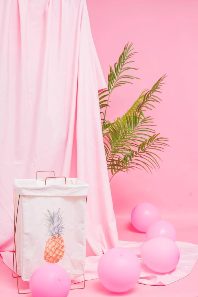 Renee Franklin tweet media