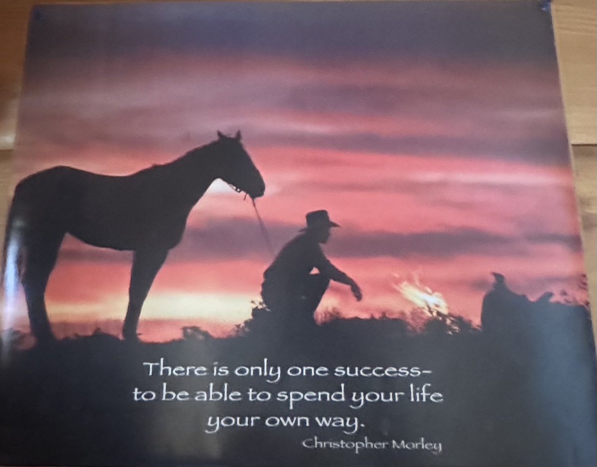 Rebar Rises tweet media