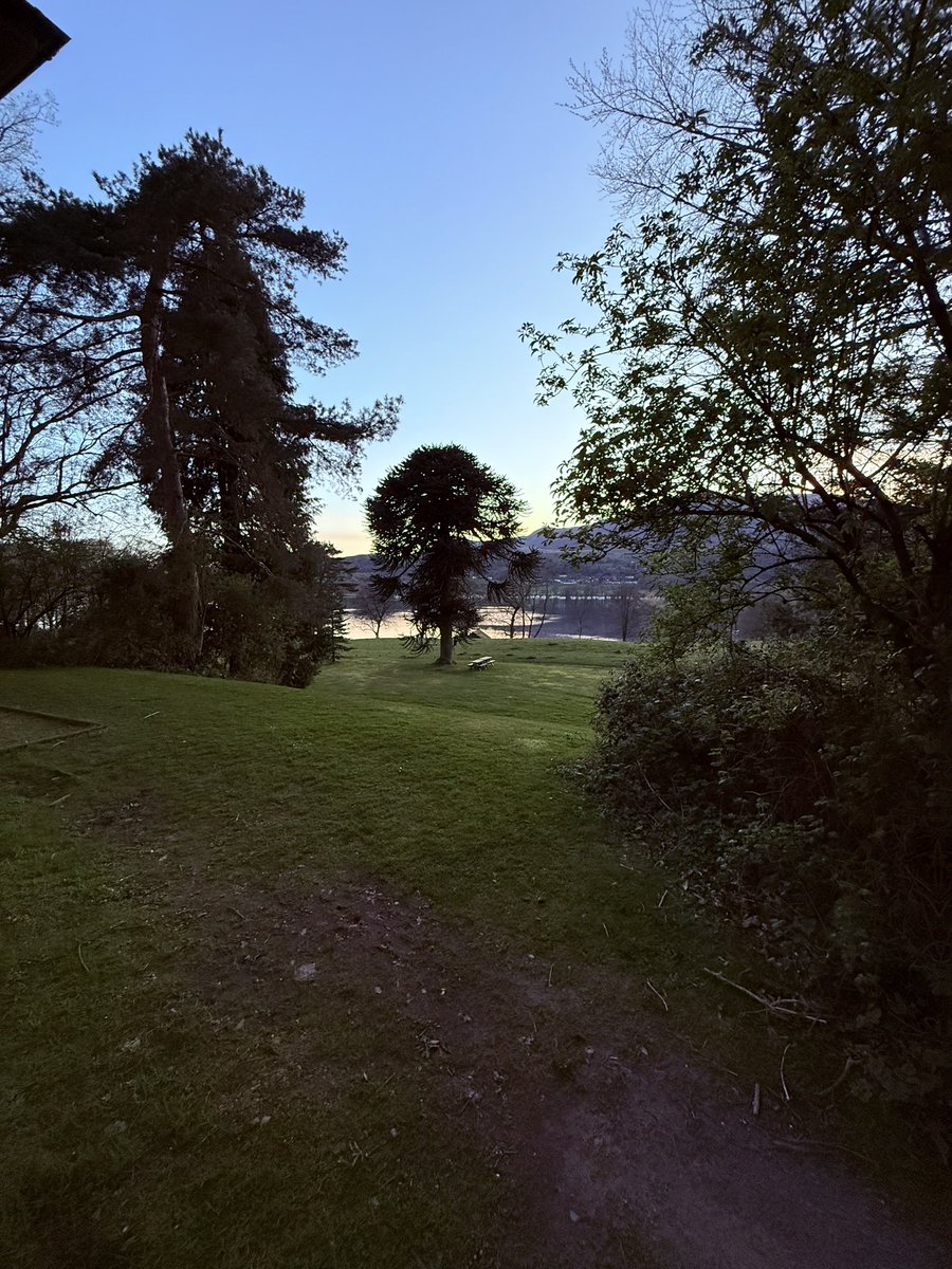 Sparky’s Mrs tweet media