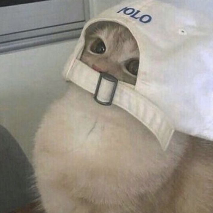 티친들아🌞🌞
드디어!! 금요일 둥근해가!!! 떴다!!! 🌞🌞
꺅! 금요일 너무 조아~~~~~
얘드라 금요일 뿌수고 퇴근하면 재밌게 놀자아🥰