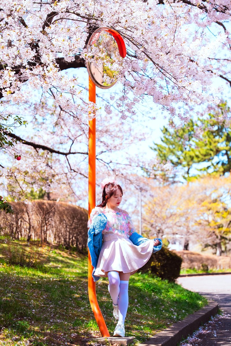 空乃Mikan tweet media