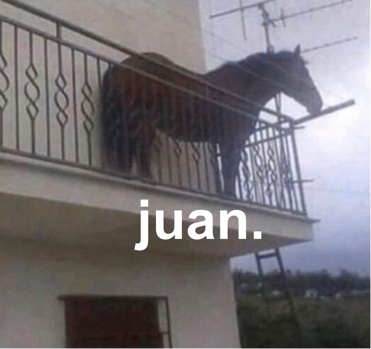 Adiós Juan, nunca supimos quien eras