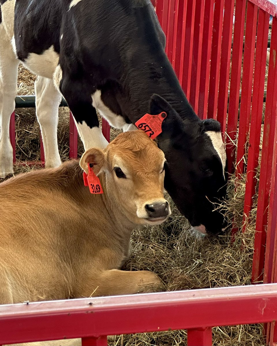 NC State College of Agriculture and Life Sciences tweet media