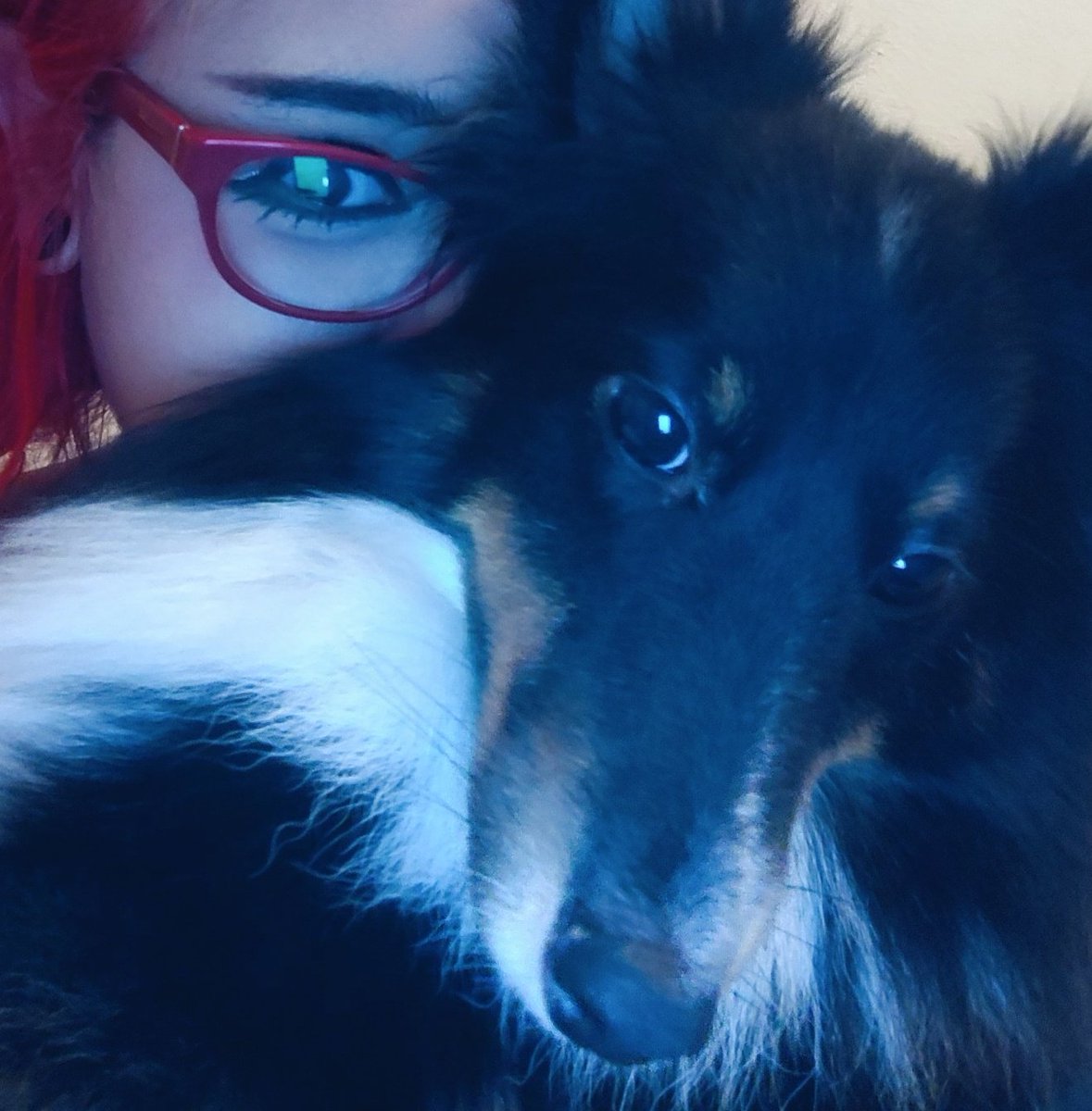 ⛤. pazzo 🎱 VIU O MCR!!! tweet media