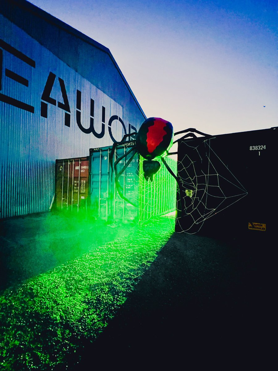 marieparr's tweet image. Today we are putting a spotlight on the color GREEN.

Share away my friends!

#Green #nature #wildlife #photographychallenge